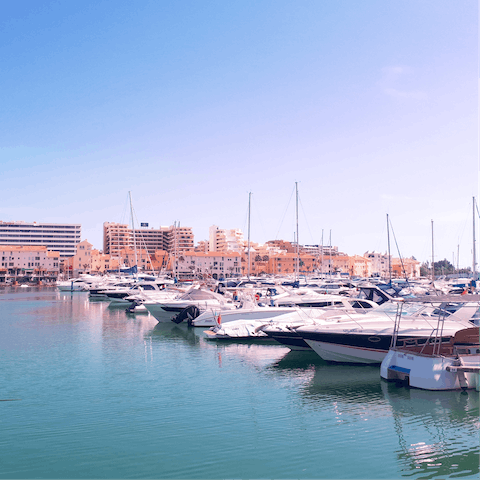 Admire the boats in Vilamoura marina – it's a short drive away