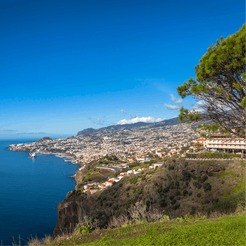 Explore the historic city of Funchal, backed by green mountains