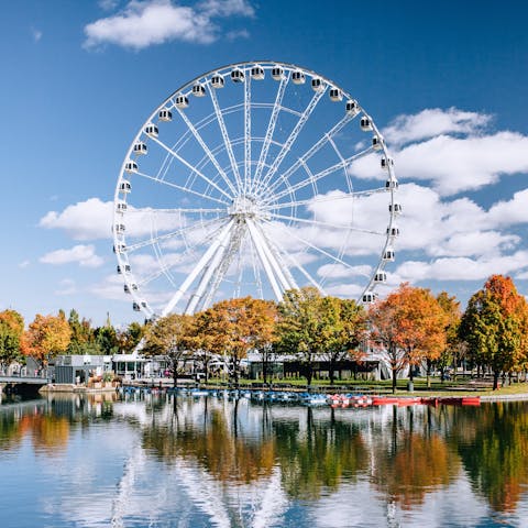 Visit Montreal's Old Port, less than a fifteen-minute walk from your front door