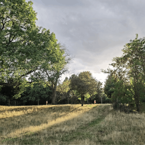 Pack a picnic and explore nearby Wandsworth Common