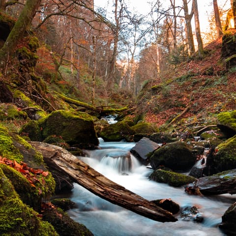 Hike trails in the Livradois-Forez National Park, reachable by car