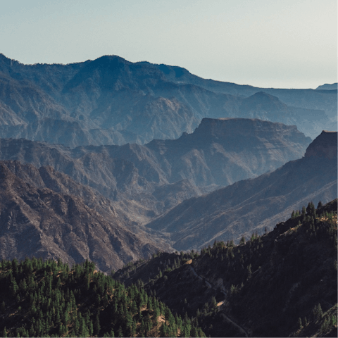 Spend cool morning hiking through Pilancones Natural Park, an hour's drive away