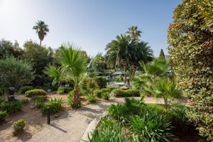 Croisette Palms image 9