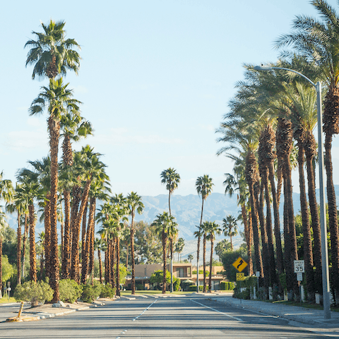 Soak up the unique Palm Springs atmosphere  –⁠ it's less than fifteen minutes to downtown 