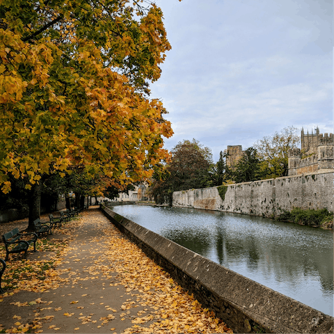 Jump in the car and head to picture-perfect Wells, England's smallest city –⁠ less than half an hour's drive away