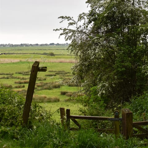 Head off for walks across the marshes