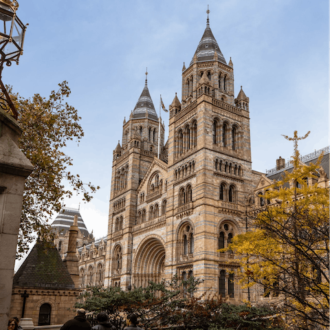 Stay in the heart of South Kensington – the Natural History Museum is a four-minute walk away