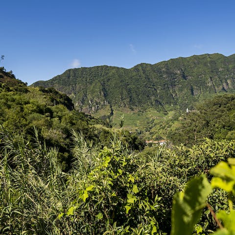 Head out on a trek into the surrounding  Laurissilva Forest