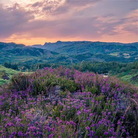 Hike up Holme Fell for saw-inspiring views over the Lake District