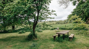 A Wilder Place image 2