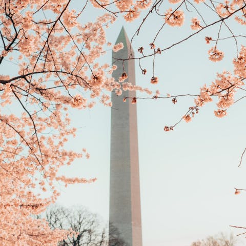 Walk to the city's iconic landmarks in Downtown Washington D.C.