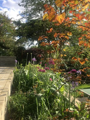 The Conran image 3