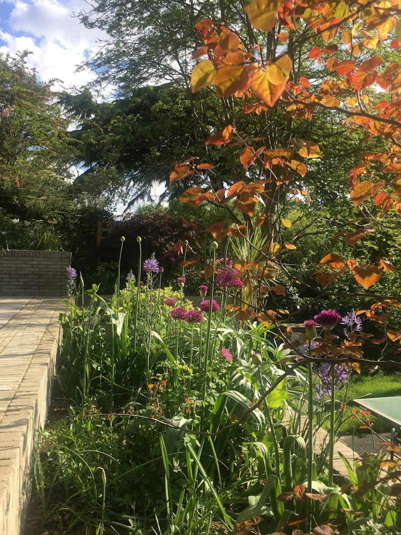 The Conran additional image