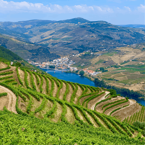 Head into the Douro Valley on a boat trip, making stops for Port wine and olive oil tastings