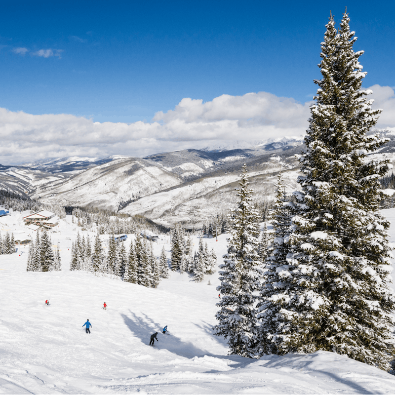 Enjoy private ski-in, ski-out access