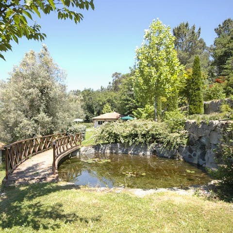 Have a stroll over the bridge by the lily pond