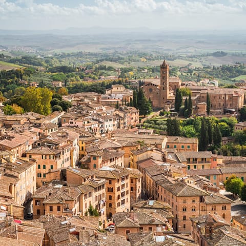 Drive into Arezzo and discover rich history and gorgeous architecture