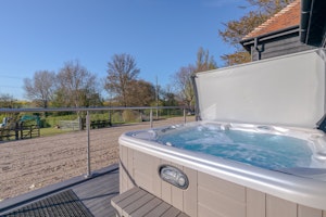 An East Anglian Vineyard image 15