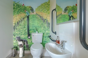 An East Anglian Vineyard image 10