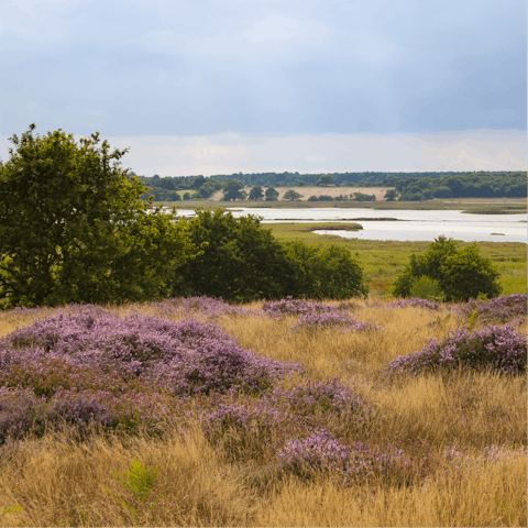 Explore the private nature reserve and lookout for birdlife from the home