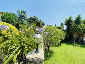 Carignan Charm image 13