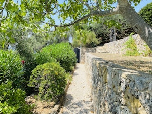 Carignan Charm image 3
