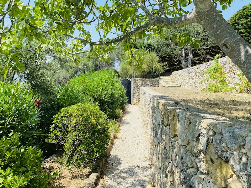 Carignan Charm additional image