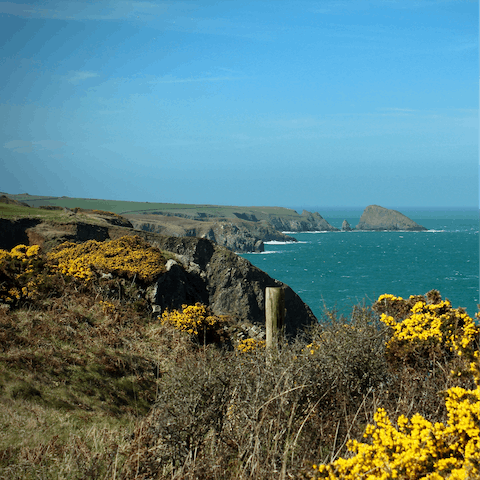 Walk the Pembrokeshire Coastal Path and explore the stunning beaches in the area