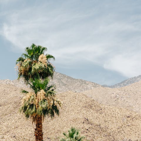 Marvel at the views of the San Jacinto Mountains