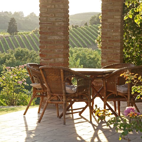 Lose yourself to the vineyard vistas from the sunny loggia