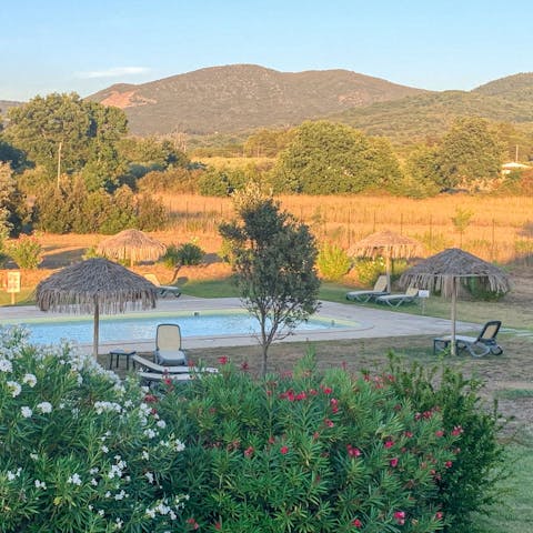 Head down to the shared pool for an afternoon swim in the sun