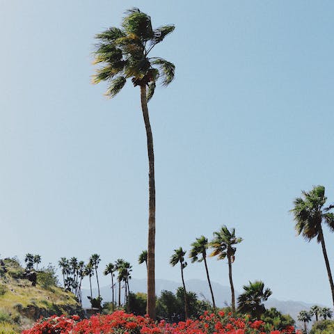 Take a seven-minute drive over to downtown Palm Springs