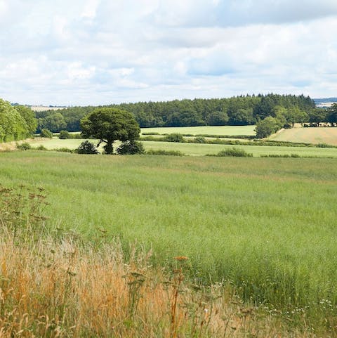 Explore the Cotswolds countryside, with fields, rivers and streams on your doorstep