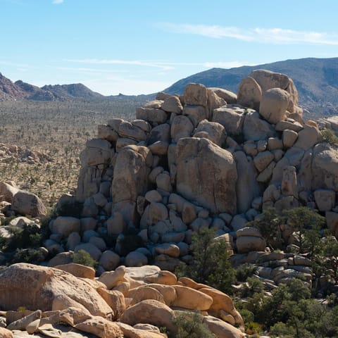 Head to Joshua Tree National Park in just over forty-five minutes' drive