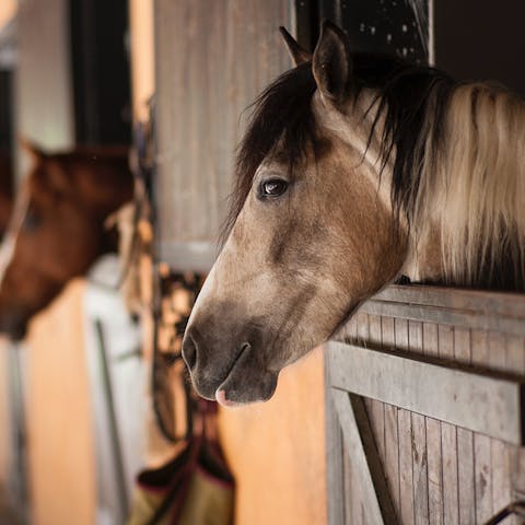 Stay stable while horse riding