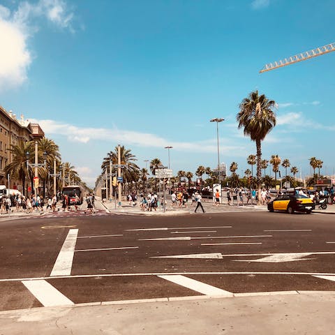 Explore one of the oldest neighbourhoods in Barcelona – El Raval is home is art exhibitions, bohemian bars and food markets