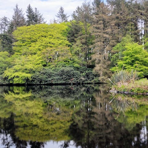 Wander around the two lochs in the grounds of Dunskey Castle