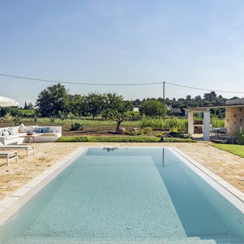 Swim laps in the pool within the quiet of an olive grove