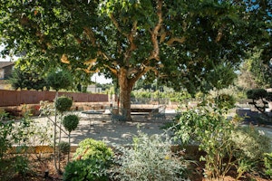 The Old Dovecote image 14
