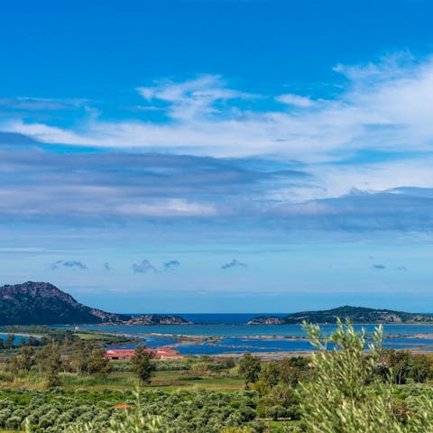 Admire sweeping views over the Bay of Navarino