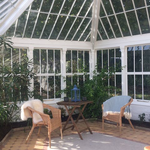 Sneak away for a peaceful moment in the leafy conservatory