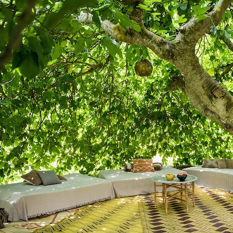 Enjoy a picnic in the garden and chat under a canopy of fig and lemon trees