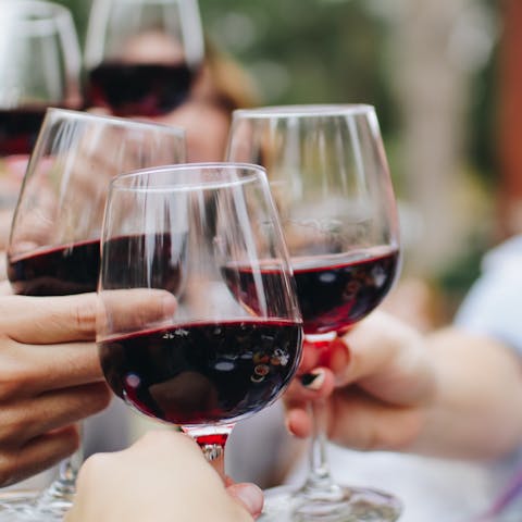 Let your host arrange wine tasting in the Alto Douro wine region