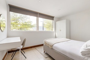 Light & Line image 6