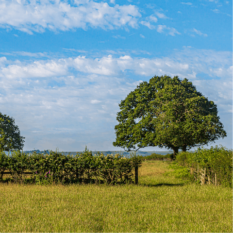 Go for a long walk through the Suffolk countryside