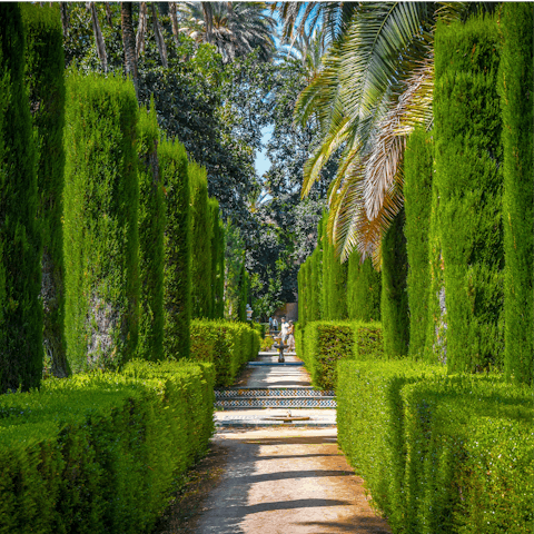 Soak up the greenery of the Royal Alcazar gardens