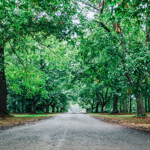 Head out and explore the countryside