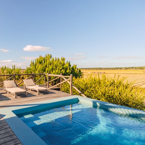 Catch some rays in the pool surrounded by mature trees and wide fields