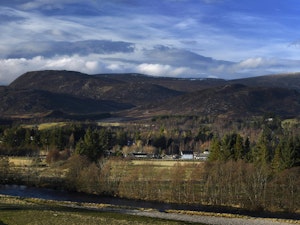 The Train Spotter image 6