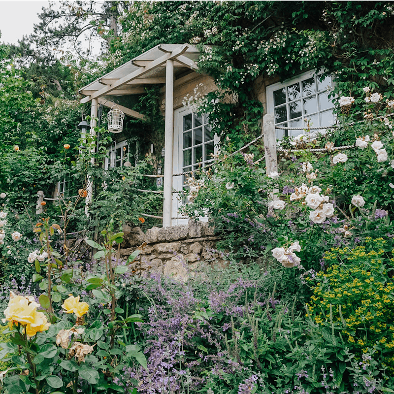 The exterior swathed in plants